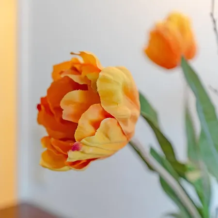 Appartementhaus Terrassenhuegel Strandhuepfer Διαμέρισμα